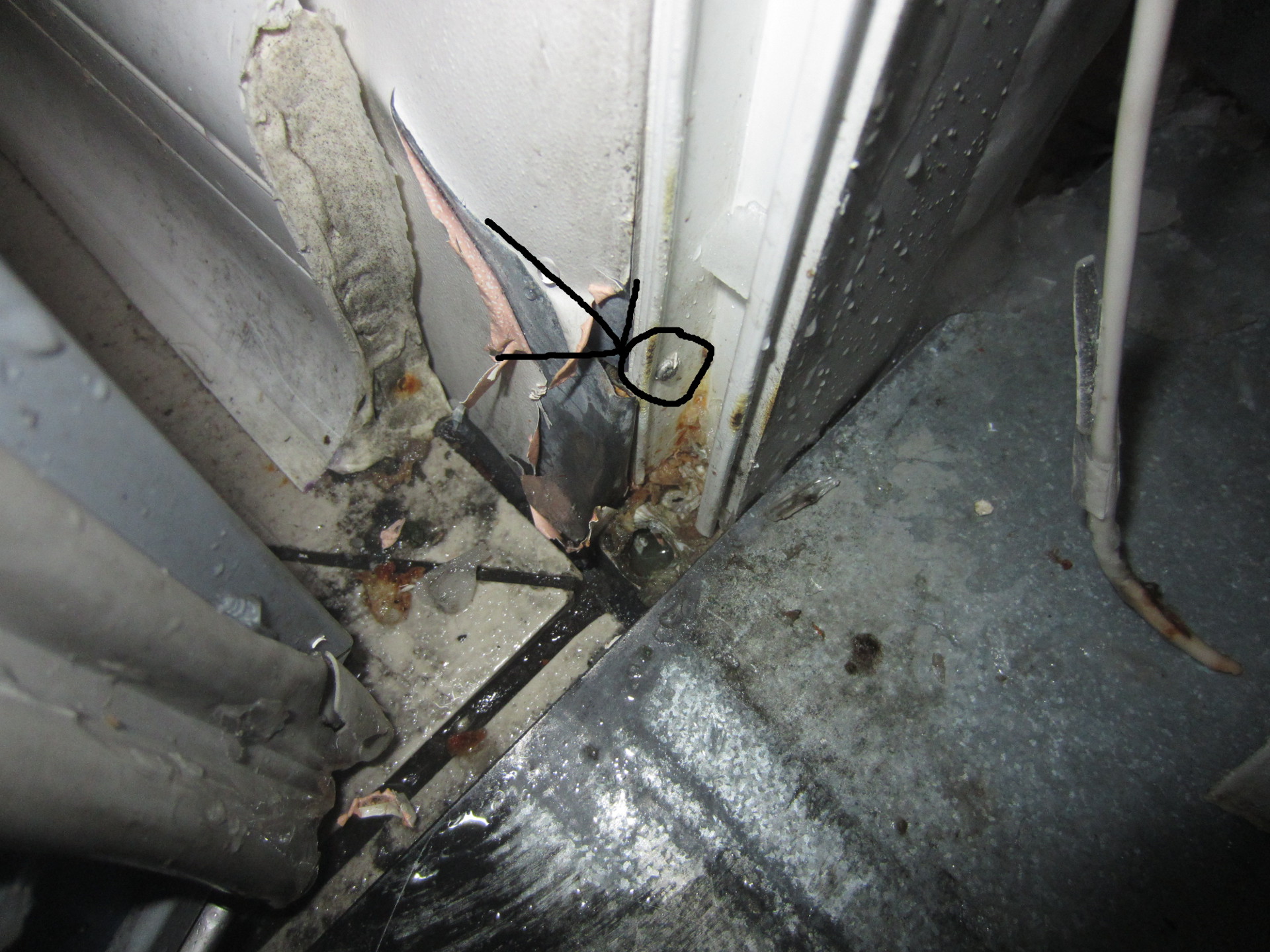 Chambre froide Foster plastique de protection du tour de porte.JPG