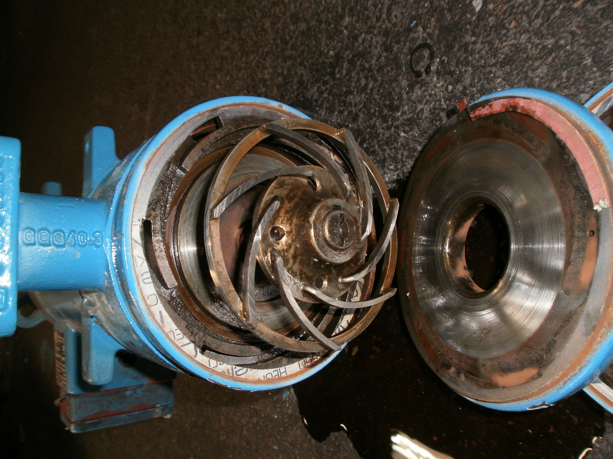 hrp  5040.JPG