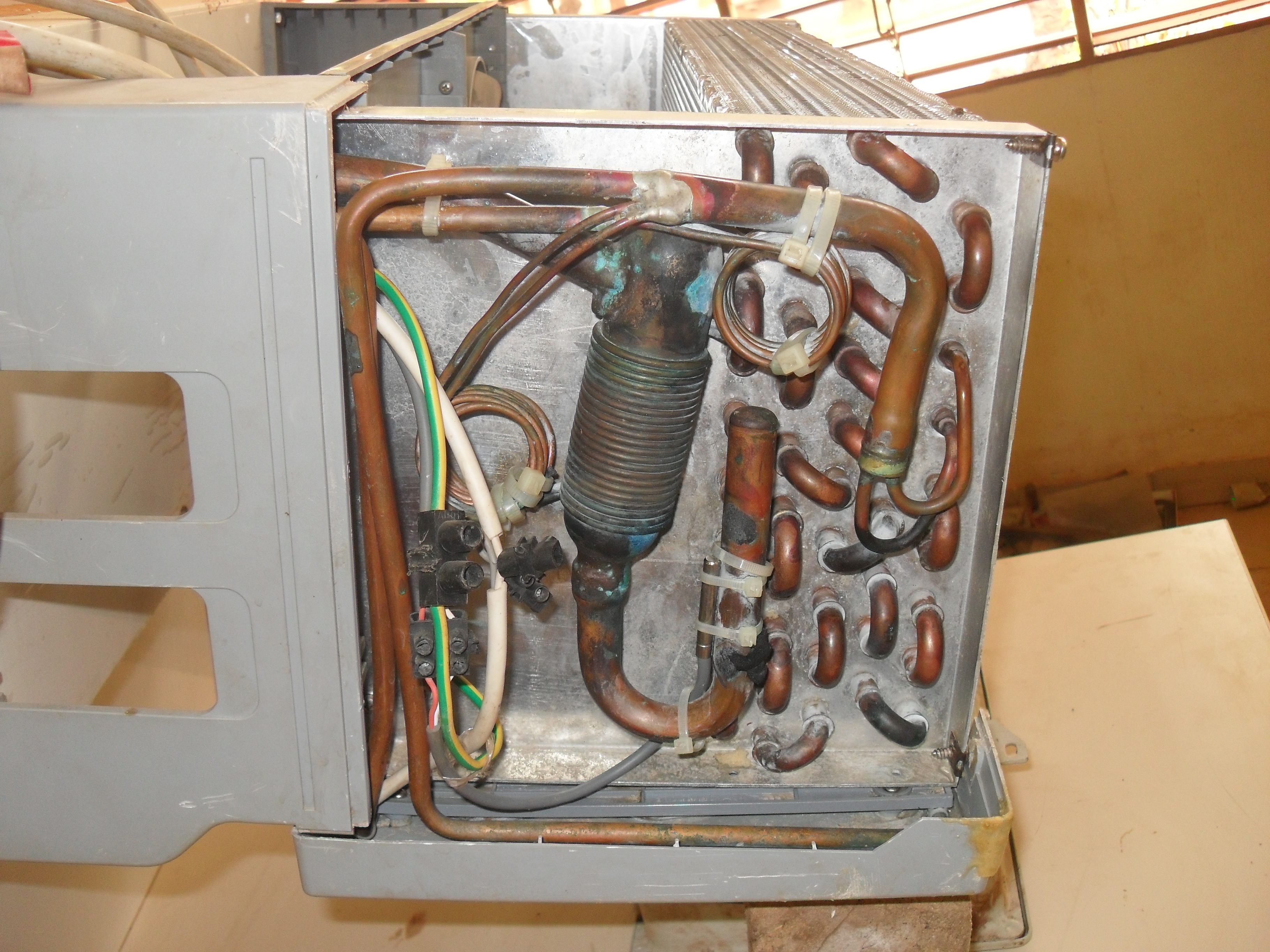SDC11708.JPG