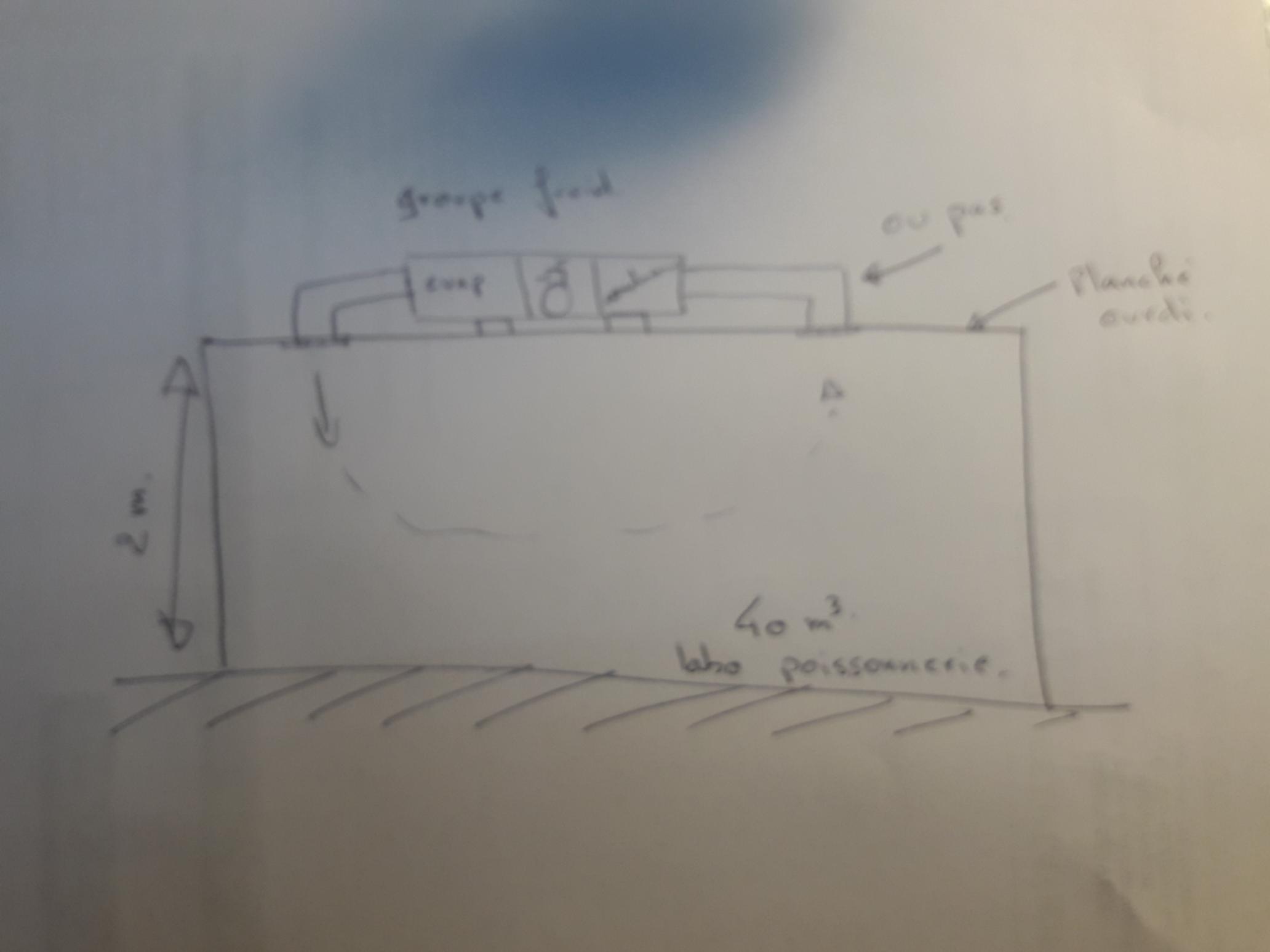 20190611_113820.jpg