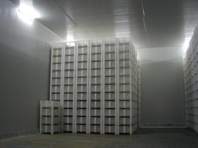 CF-stockage02.jpg