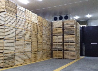CF-stockage03.jpg