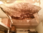 plafond de chambre froide positive en.... placo (je tairais le nom de l'établissement!) proposé par agfroid