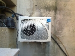 Groupe sylensis au mur salle mortuaire proposé par marcel11